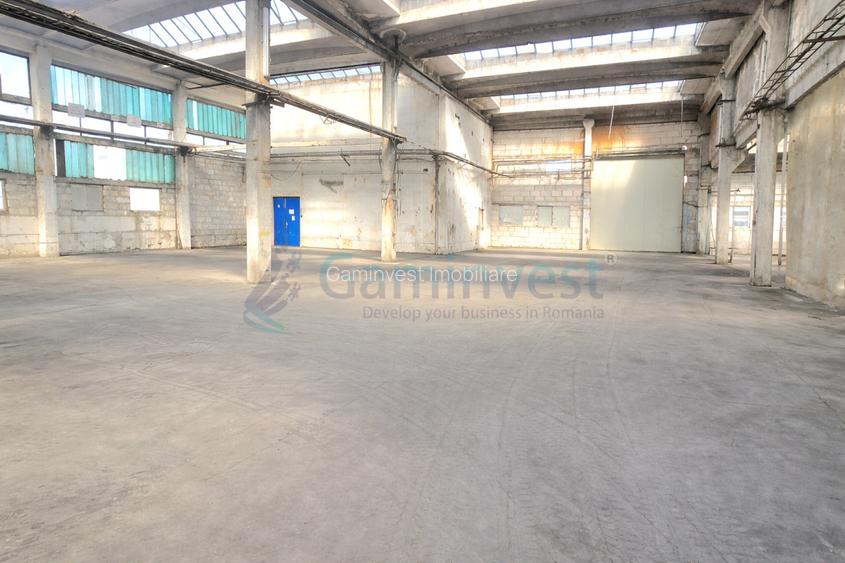 Hala de 3000 mp de productie sau depozitare in Oradea, zona de Centura - 4