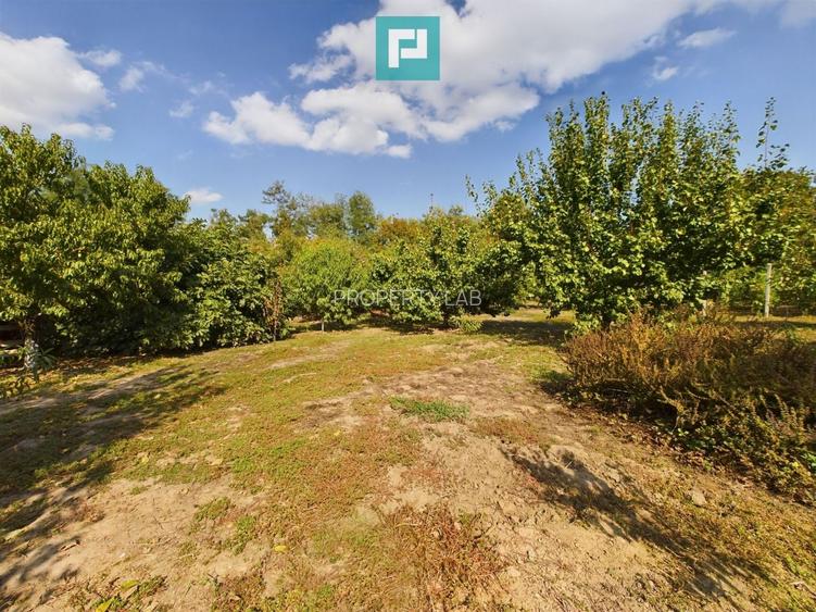 Casă cu teren 2877 mp, orașul Ineu - 7