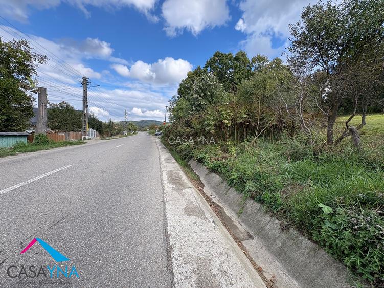 Lot teren 8.344 mp - Deschidere la 3 drumuri - Buhoci! - 3