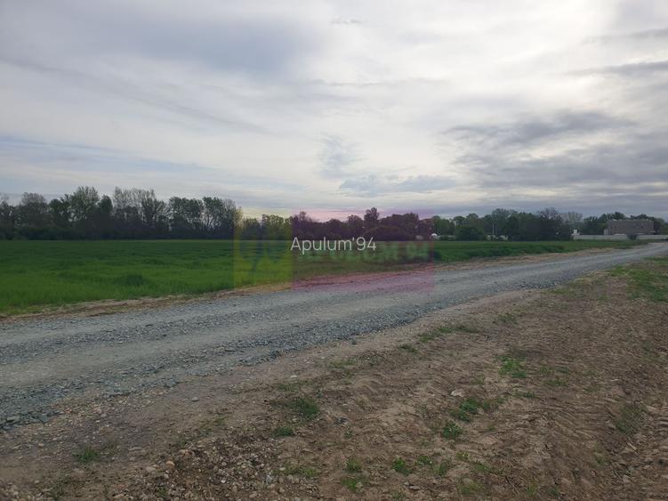 Teren ideal dezvoltare imobiliară în Măgurele strada Atmosferei - 11