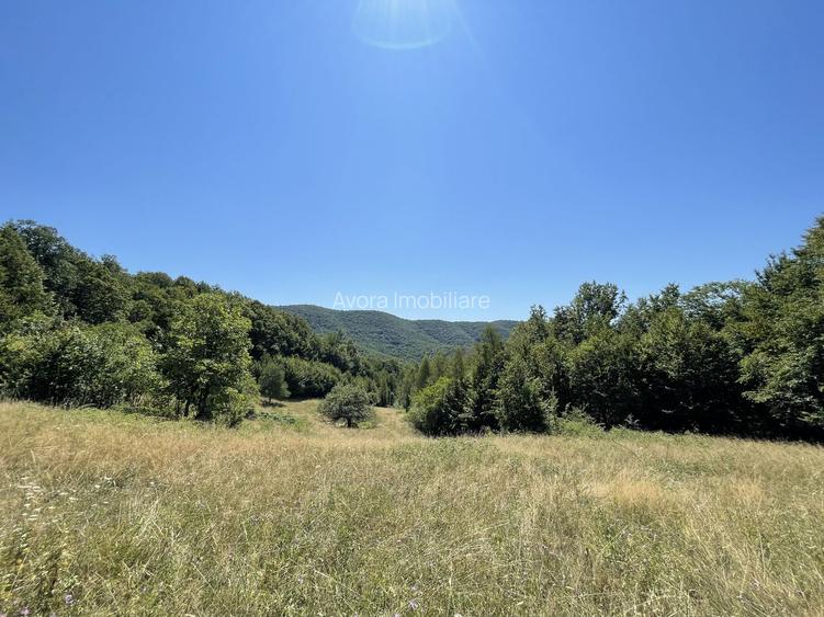 Teren Extravilan în mijlocul naturii. - 17