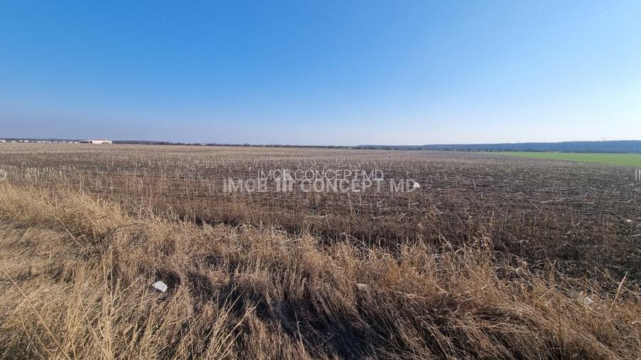 Vanzare Teren Extravilan 11000 mp, in Aricestii Rahtivani, Jud Prahova - 4