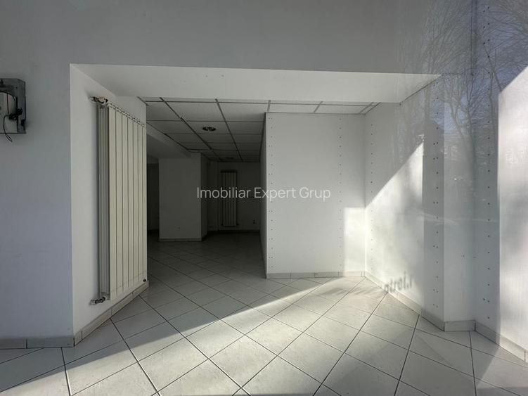 Zona Dimitrie Cantemir-Budapeste Sp153 mp P+Supanta - 5