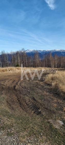 Teren de vanzare Sirnea- Comision 0% - 5