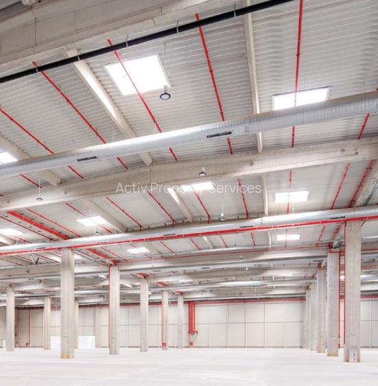 LOGICOR Bucuresti III - proiect in dezvoltare - 4