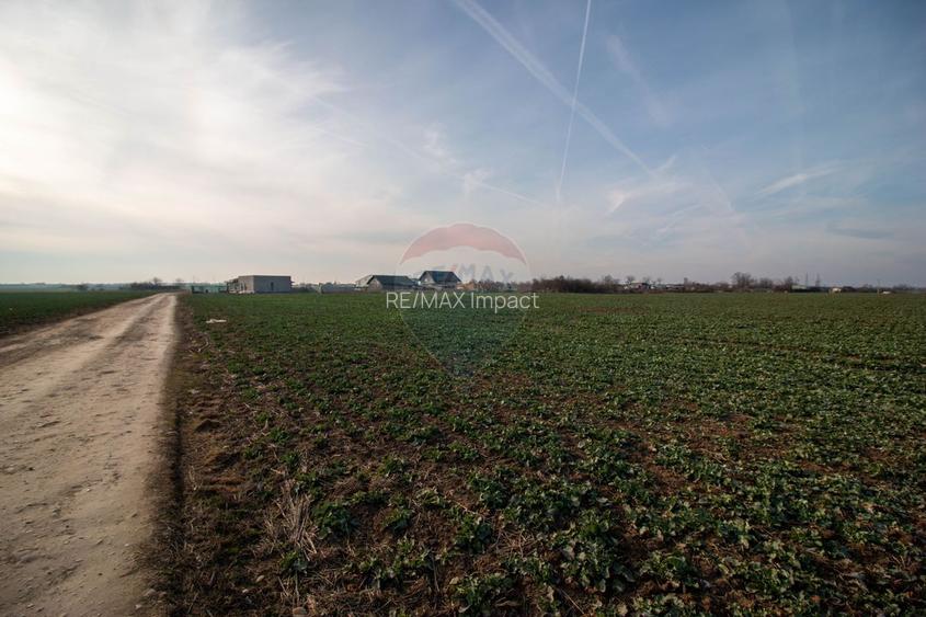 Teren Intravilan de vanzare 21000 mp Balotesti Central Soseaua Unirii - 9