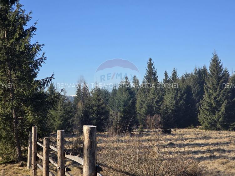 Teren 3,266mp Dorna-Arini / Drumul ORTOAIA - PODIREI - 4