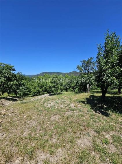 TEREN INTRAVILAN DEVANZARE 33161 MP DE VANZARE TARGU OCNA - 36