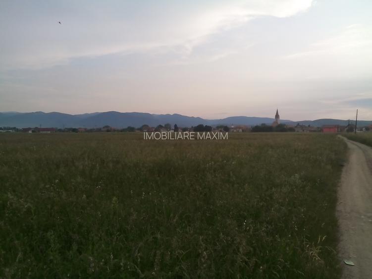 Imobiliare Maxim - teren in Cristian - 6