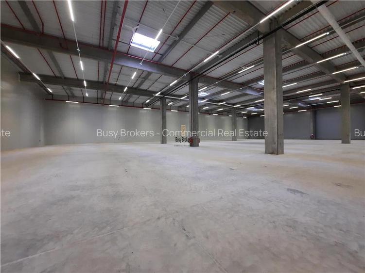 Spatiu Industrial - 2500 mp - Logistica - Productie - Depozitare - Distributie - 10