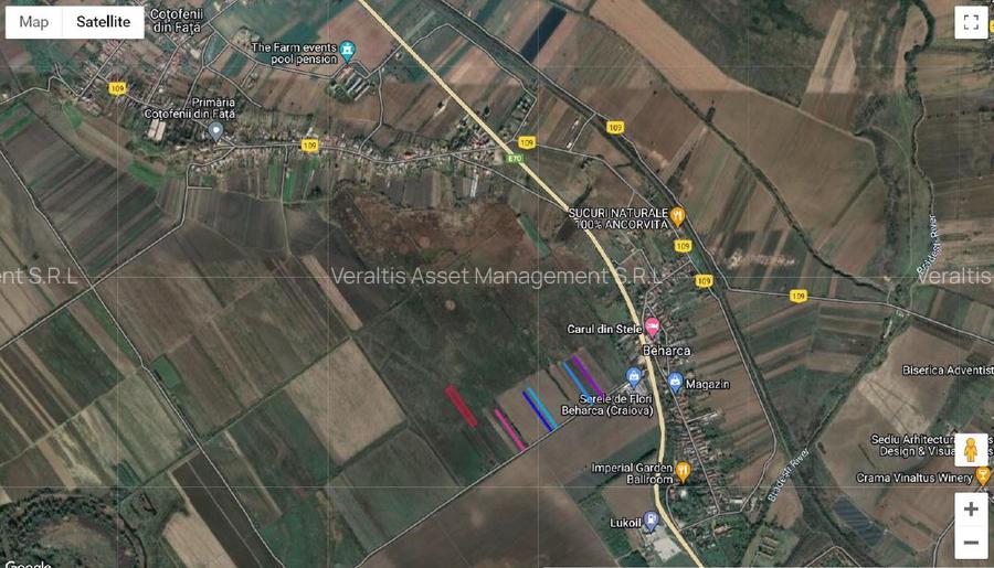 Teren extravilan 12.896 m.p. Sat Beharca, Loc. Cotofenii din Fata, Jud. Dolj - 2