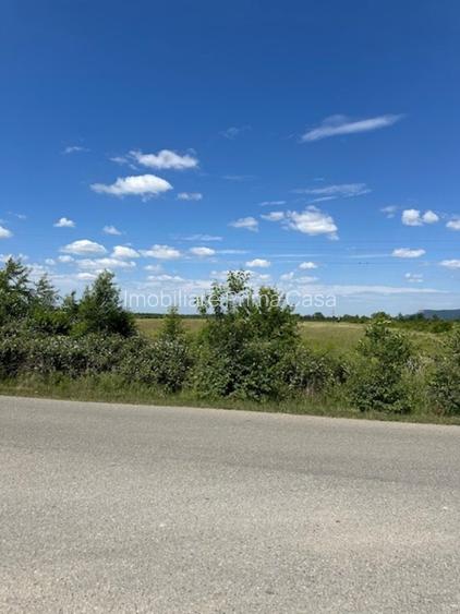 TEREN INDUSTRIAL 42.167 mp zona BUSAG! - 4