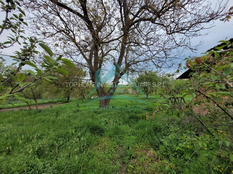 Exclusivitate! De vanzare casa cu 3 camere si teren de 1500mp, la Vlaha! - 20