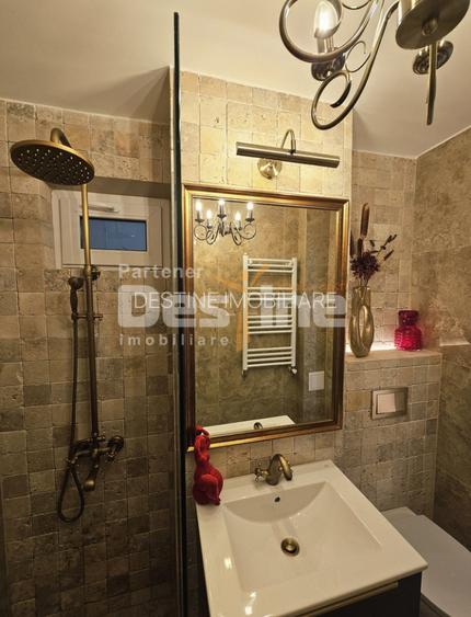Piata Victoriei I Apartament 2 camere I Recent renovat - 6
