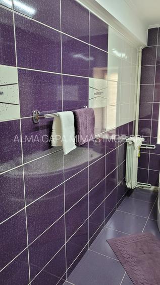 inchiriere 2 camere zona ALBA IULIA-UNIRII - 17