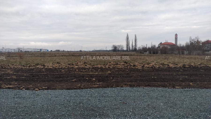 Vand teren industrial 4310 mp in Ghiroda-Aeroport - 2