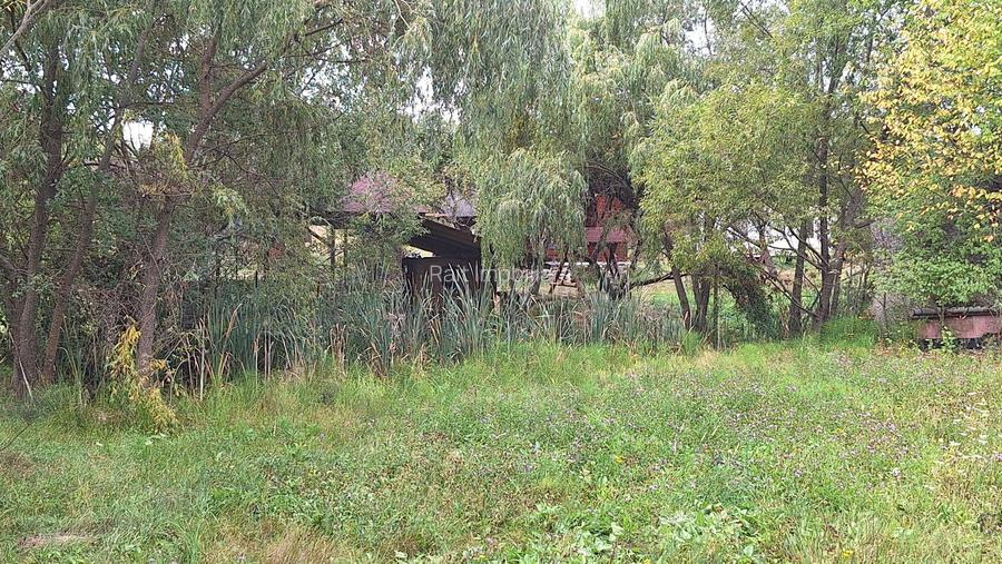 VANZARE ANSAMBLU CASUTE BRADULET ARGES - 8