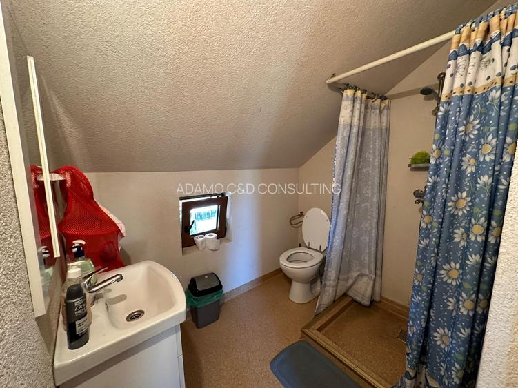 Casa de vanzare in Belis - 13