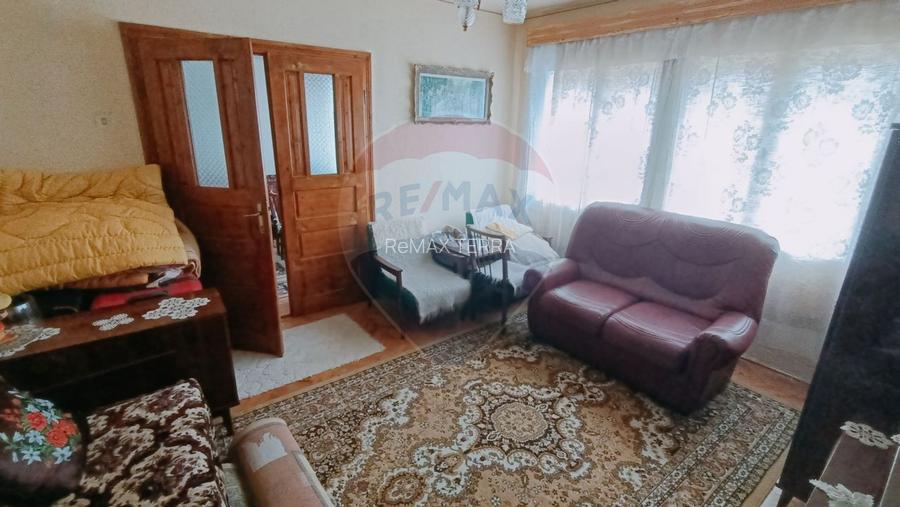 CASA + Casuta - DE VANZARE in Baia Sprie - 10