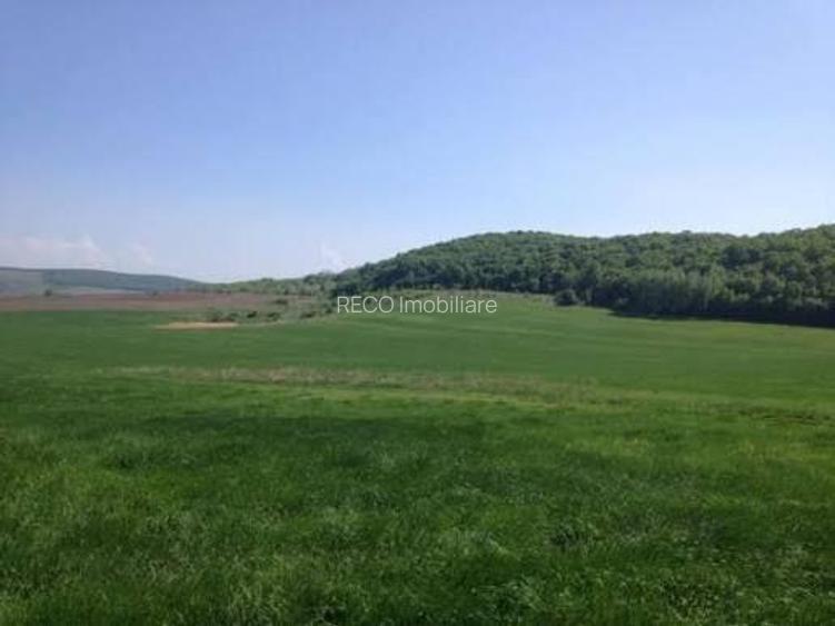 RECO Teren extravilan in Dragesti spre Stracos 6552mp - 2