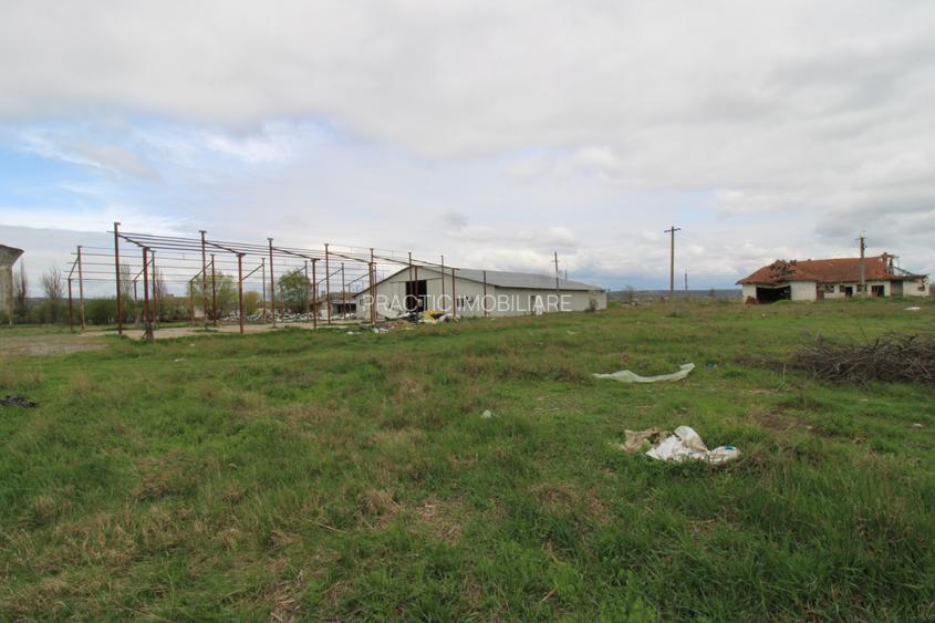 Hala in Foltesti - 4