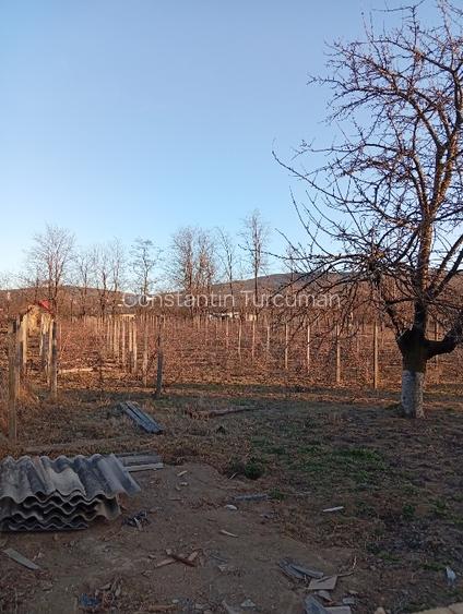 Ofertă de neratat!!! - 3