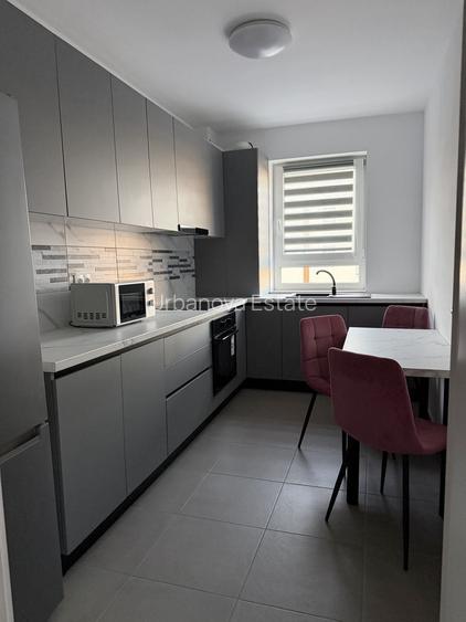Apartament 2 camere de inchiriat cartier Maurer - 3