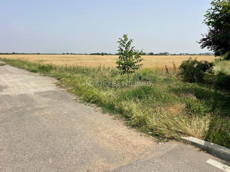 VÂNZARE TEREN - OTOPENI, STRADA CARPAȚI.OPORTUNITATE!!! - 4