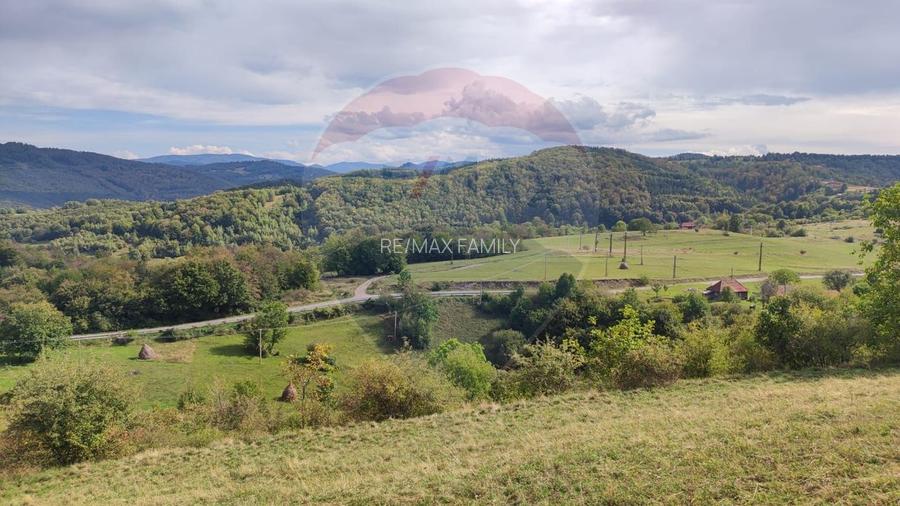 Teren intravilan constructii 3082 mp Damis Bratca drum DJ 764D - 12