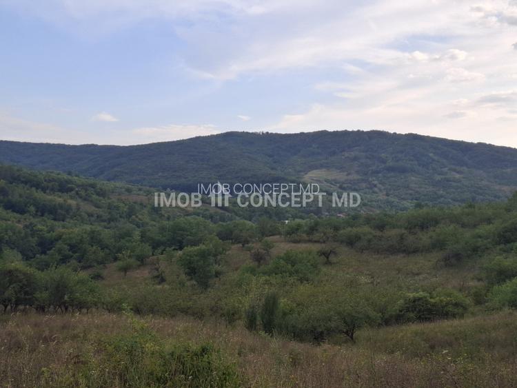 Teren spectaculos cu padure, livada si priveliste panoramica in Soimari PH - 19
