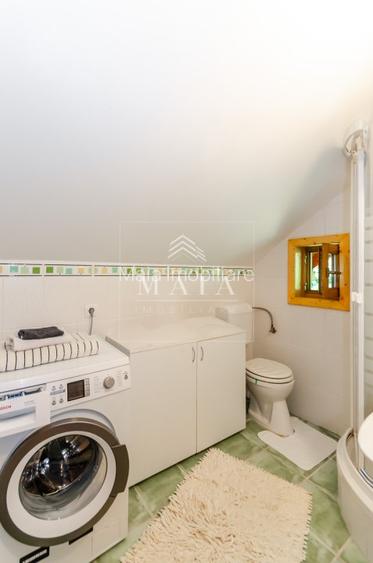 Casa 3 camere, 840 mp teren care include padure, Paltinis - 13