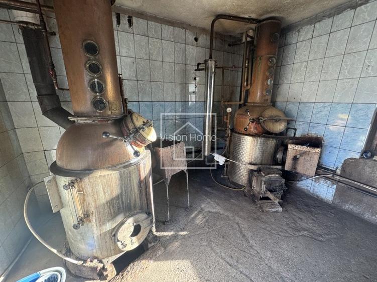 Teren cu cladiri productie alcool si gater – functional – Cisnadie - 2