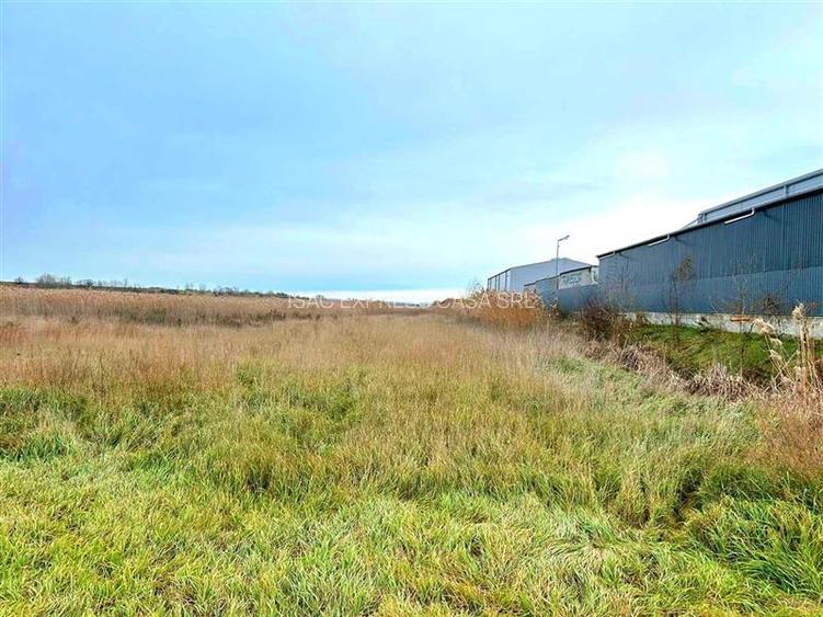 Teren industrial de vanzare, 9400 mp, Tomesti. Zona Transgor - 2