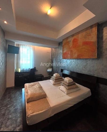 Proprietar vând Hotel Boutique  la Timișoara  - 14