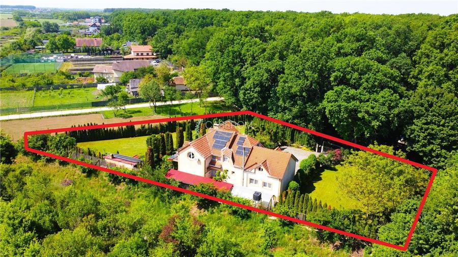 VIDEO | Vila, domeniu privat la Padurea Noroieni | Curte, foisor, jacuzzi - 2