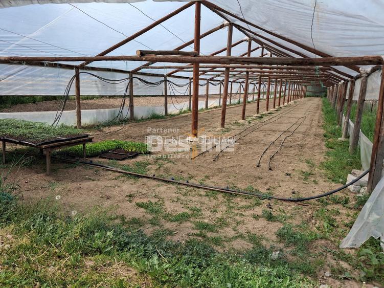 Loturi teren intravilan în Dăești, cu utilități complete, solar și garaj - 7