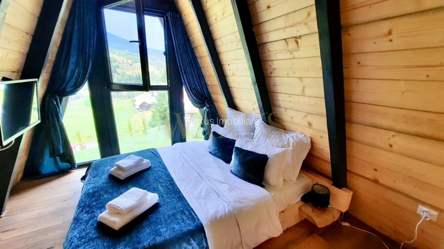 Teren 34,5 ari + cabana A-frame Colibita – ideal pentru resort, spa sau pensiune - 6