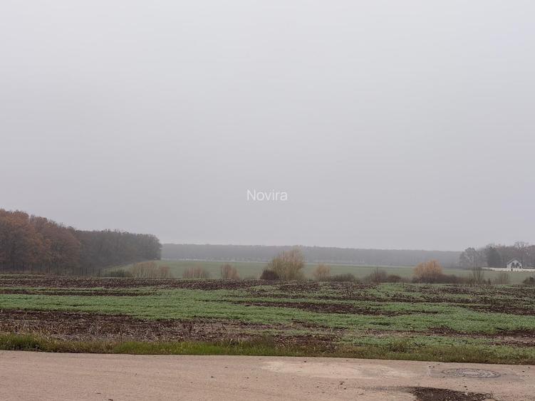 Vilă Individuală Nouă P+1 | 4 Camere | 141 mp utili | Teren 350 mp | - 6