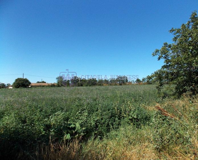 TUZLA - Teren intravilan 1000 mp, langa lacul Techirghiol! - 9