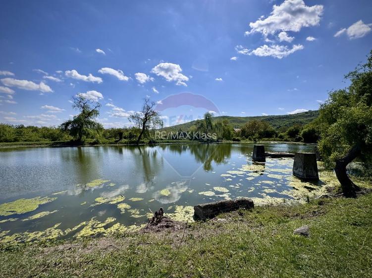 Domeniu de vânzare in Urlați Prahova - 2