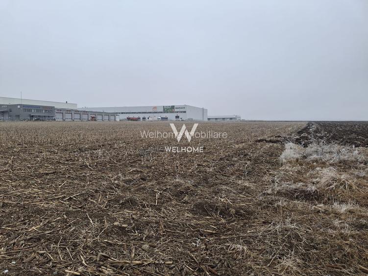 Teren industrial de vânzare , Sibiu– Zona Industrială Vest, 20.800 mp - 2