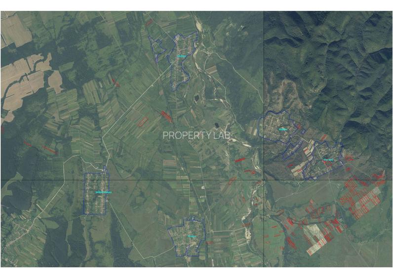 Teren extravilan 95.23 ha lângă Caransebeș - 4