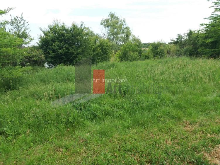 Teren Buftea cu iesire la lac - 7