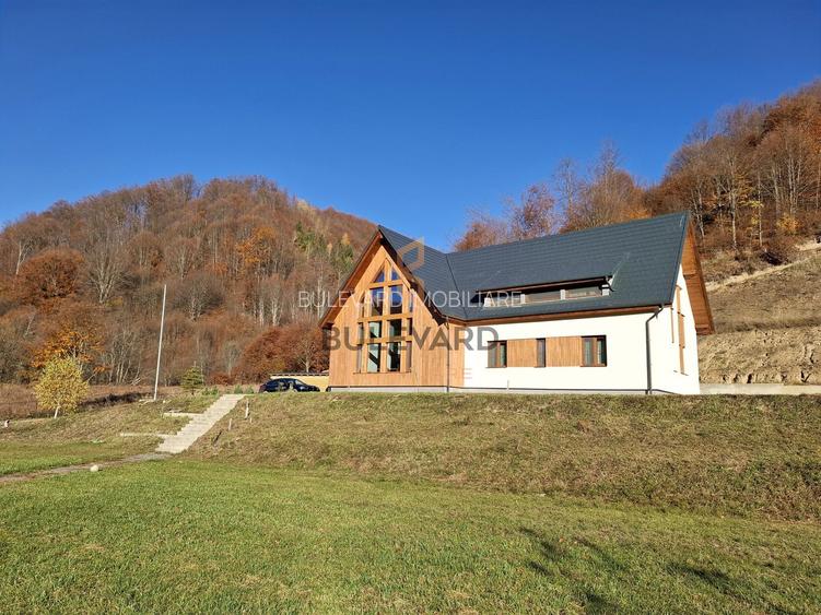 Proprietate cu potențial turistic în zona montană a Țării Lăpușului - 33