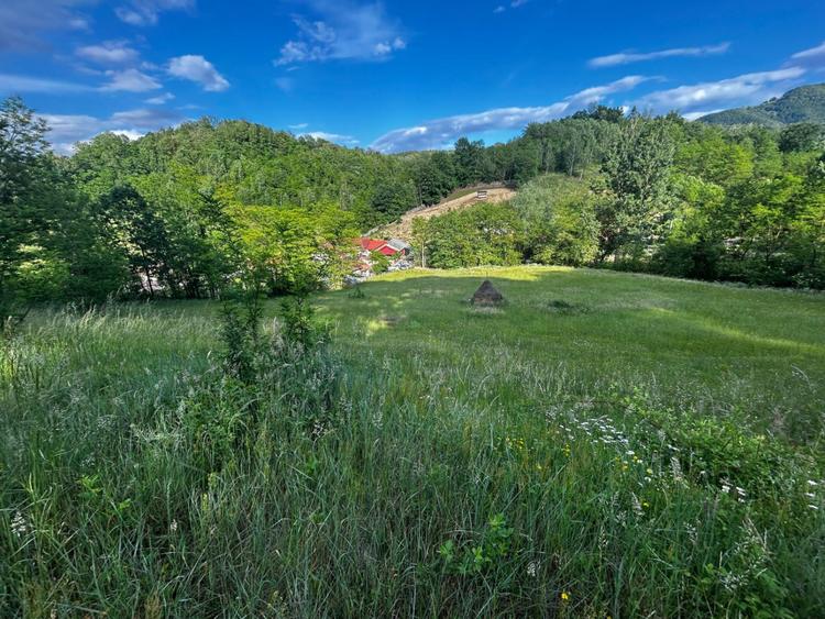Teren de vanzare | 12 259mp |