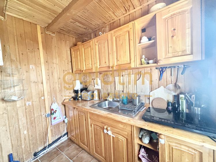 CASUTA DIN POVESTI/CURTE 1100MP/GRADINA MAGICA/SAUNA/PISCINA/SNAGOV - 28