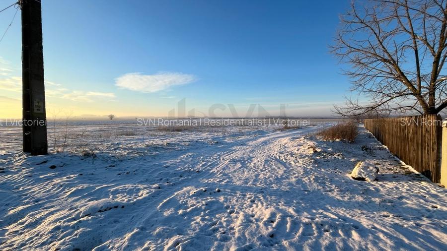 REL4001268 Teren extravilan padure 6000 euro vizavi Insula Crabilor - 2