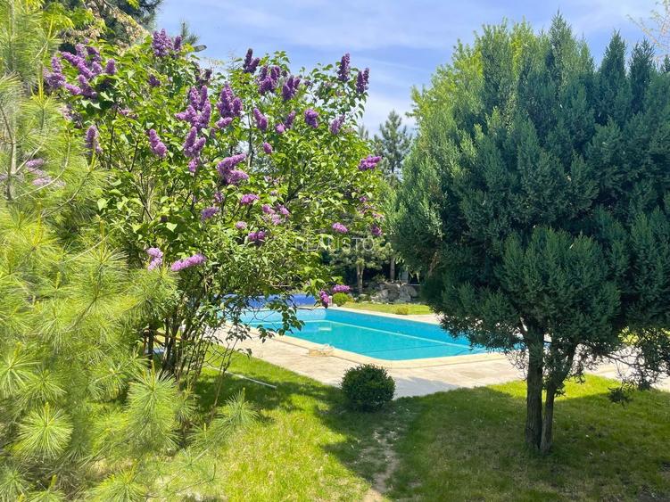 Eleganță în Vila de Excepție  |   Vila cu piscina încălzită - 5