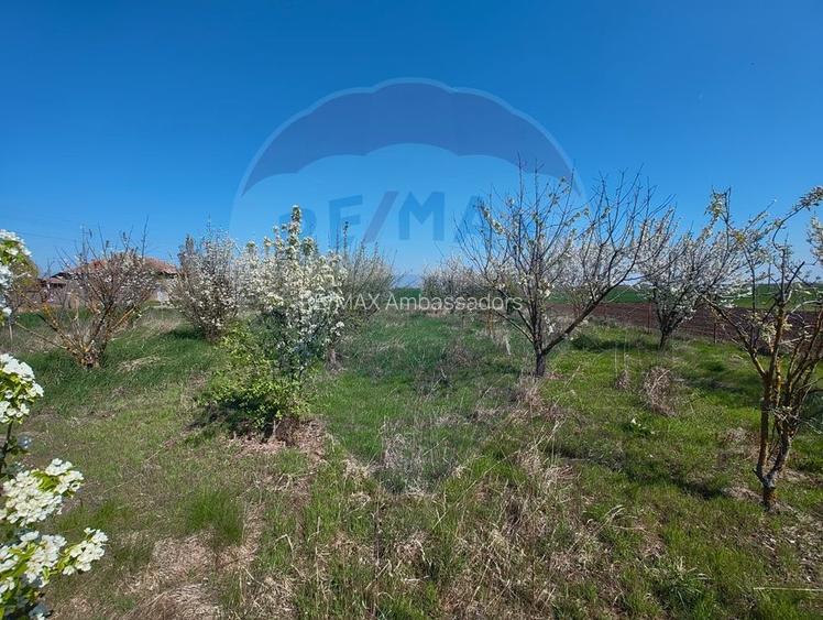 Casa de vanzare cu teren de 2175 mp,anexe si livada generoasa | Mailat - 16