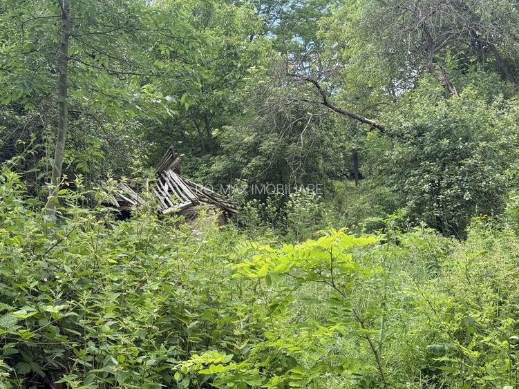 Teren intravilan 683 mp deschidere la strada asfaltata ! - 9